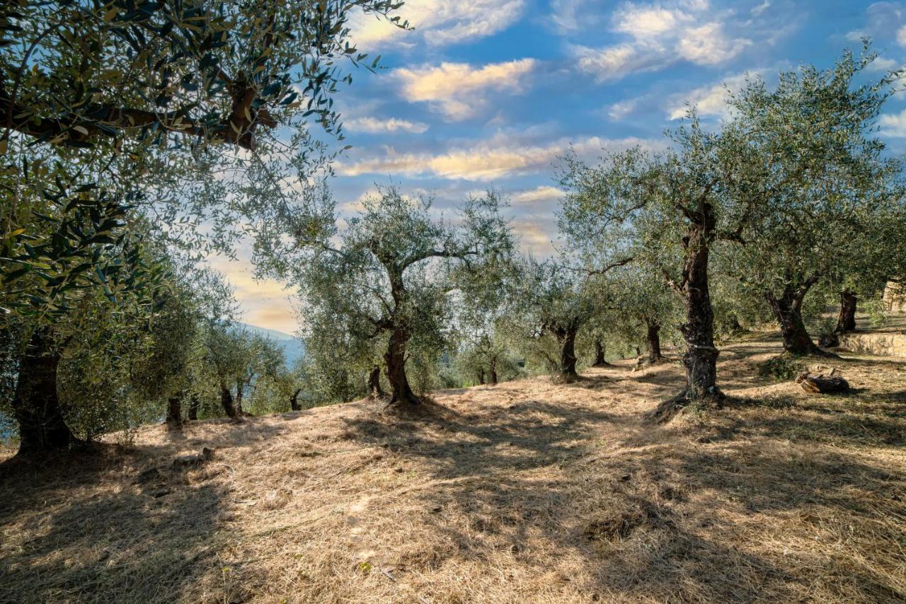 Casetta Maduneta Immersa In Un Oliveto Dolceacqua Exterior photo