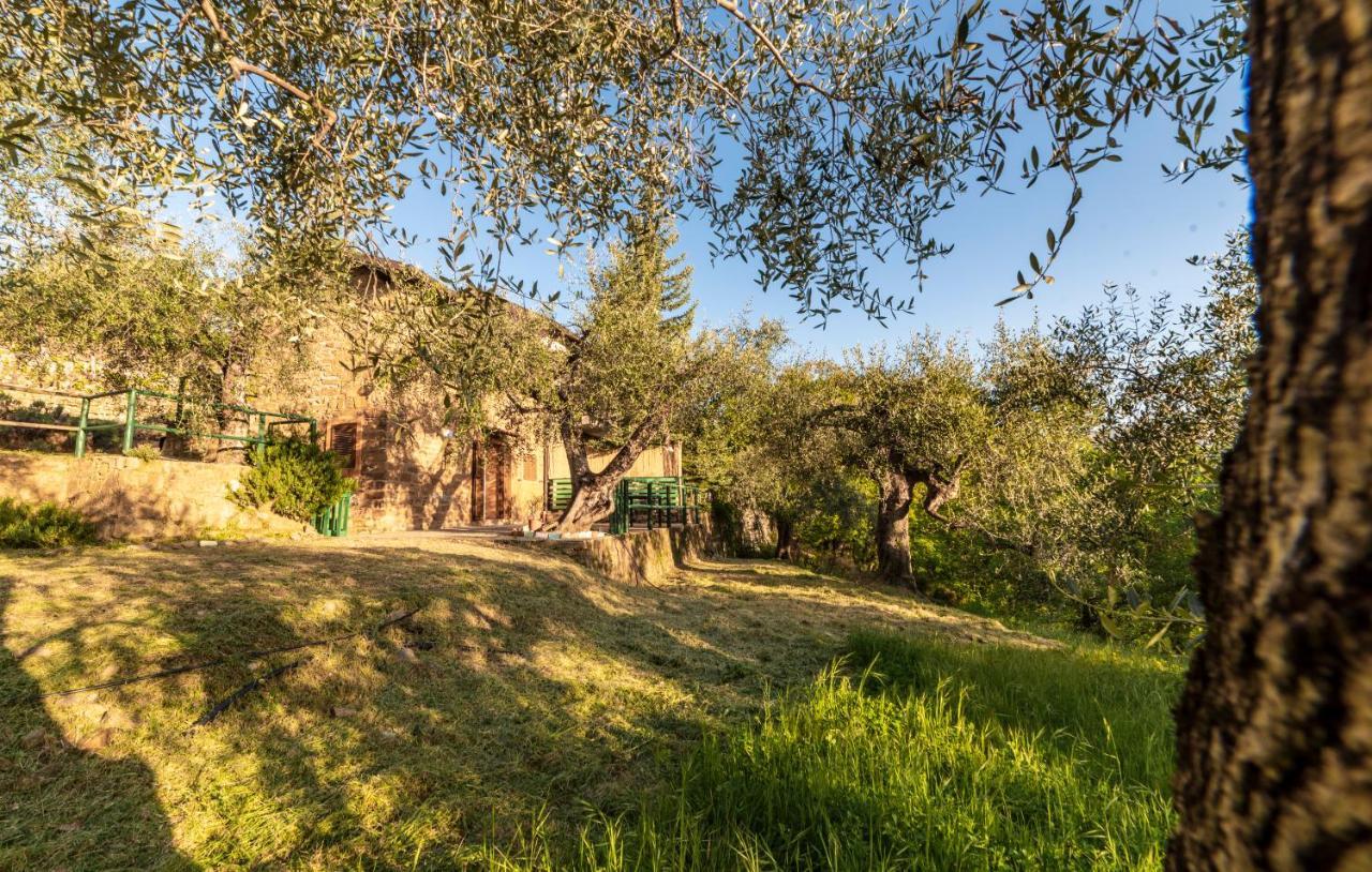 Casetta Maduneta Immersa In Un Oliveto Dolceacqua Exterior photo